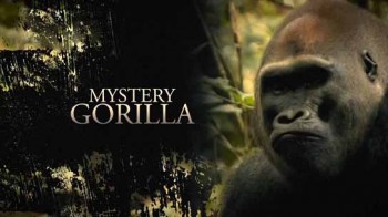 Тайна горилл / Mystery Gorilla (2009)