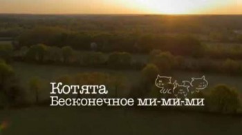 Котята. Бесконечное ми-ми-ми (2016)