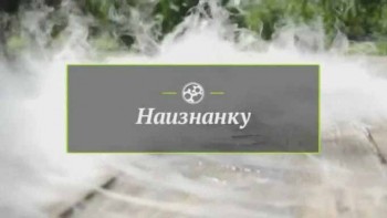 Наизнанку. Пластиковая бутылка (2016)