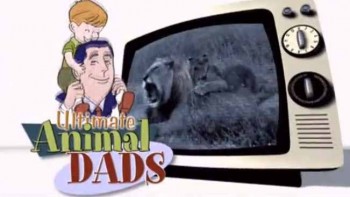 Лучшие животные-папаши / Animal Planet. Ultimate Animals Dad (2004)