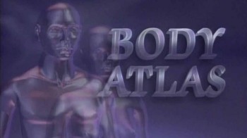 Атлас тела 3 серия. Тайны кожного покрова / Body atlas (1994)