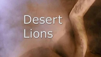 Мир природы. Львы пустыни / Natural World: Desert Lions (2007)