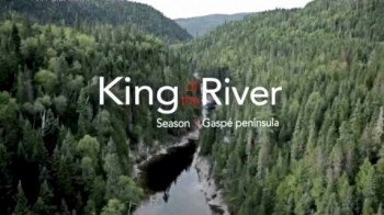 Король реки 7 серия / King of the River (2015)