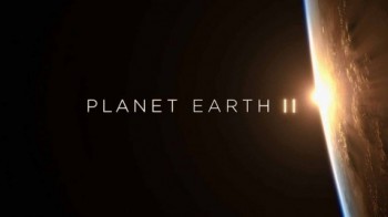 Планета Земля 2 сезон 5 серия. Пастбища / Planet Earth II (2016)