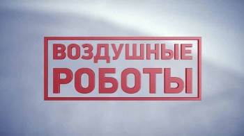 Воздушные роботы (2016)