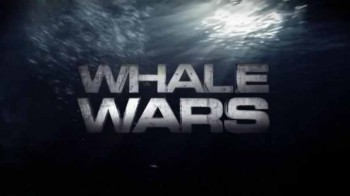 Китовые войны 3 сезон 01 серия. Кругом шпионы (2010)