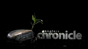 Три вида голавлей Кубани (2015)