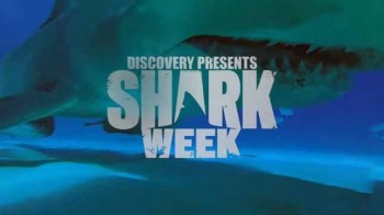 Акула-молот выходит на охоту (2017)