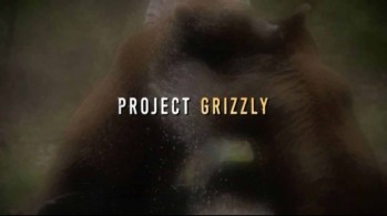 Проект Гризли 1 серия / Project Grizzly (2016)