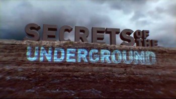 Секреты Подземелья 1 серия. Тайные туннели Капоне (2017)