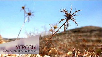 Жажда планетарного масштаба. Угрозы современного мира