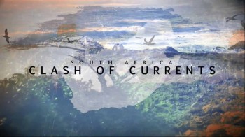 Дикая природа. Южная Африка 1 серия. Разрыв шаблонов / Wild South Africa (2015)