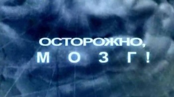 Осторожно, мозг! (2008)