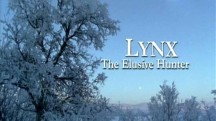 Рысь - хитрый охотник / Lynx: The Elusive Hunter (2003)