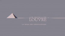 Битва за Лувр / Les batailles du Louvre (2016)