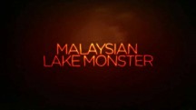 Речные монстры 9 сезон 9 серия. Малайзийское озеро Монстр / River monsters (2017)