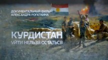 Курдистан. Уйти нельзя остаться (2017)