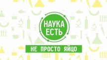 Наука есть. Яйцо (2017)