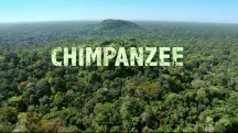 Шимпанзе / Chimpanzee (2012)