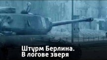 Берлин. В логове зверя (2015)
