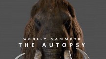 Вскрытие мамонта / Woolly mammoth: The Autopsy (2014)