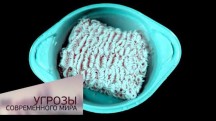 Химическая атака. Угрозы современного мира