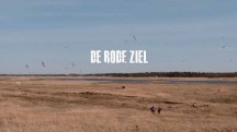 Красная душа / De Rode Ziel (2017)