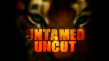 Дикие и Опасные 5 серия. Опасные игры с аллигаторами / Untamed and Uncut (2010)