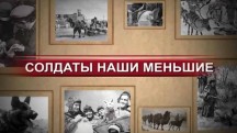 Солдаты наши меньшие (2015)