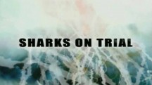 Акулы перед судом / Sharks on Trial (2005)