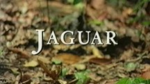 Ягуар: пожиратель душ / Jaguar: Eater of Souls (1999)