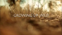 Как стать взрослым / Growing Up Wild (2016)