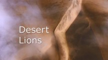 Планета Земля: Львы пустыни / Natural World: Desert Lions (2010)