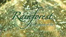 Леса животворящего дождя / Rainforest - The secret of life (2008)