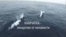 Камчатка - лекарство от ненависти / Kamchatka - a cure for hatred (2014)