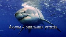 Акулы - реальная угроза / Shark - The Real Threat (2015)