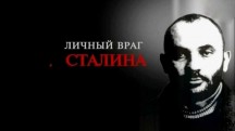 Личный враг Сталина (2008)