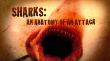 Акулы: механизм нападения (2010)