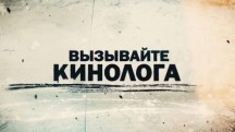 Вызывайте кинолога 3 серия. Истребители (2018)