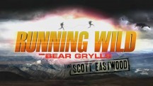 Звездное выживание с Беаром Гриллсом 4 сезон 4 серия. Скотт Иствуд / Running Wild Bear Grylls (2018)