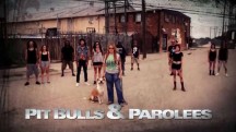 На свободу с питбулем 8 сезон 4 серия. Подарок / Pit Bulls and Parolees (2018)