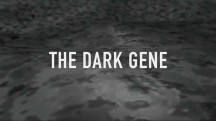 Темный ген / Das dunkle Gen (2015)