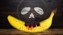 Банановая индустрия Эквадора: история отравлений (2018)