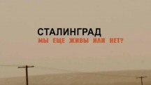 Сталинград. Мы еще живы или нет? (2018)