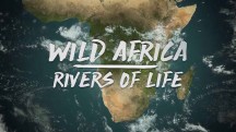 Дикие реки Африки 3 серия / Wild Africa. Rivers of Life (2016)