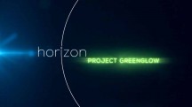 Проект Гринглоу. В поисках власти над гравитацией / Project Greenglow. The Quest for Gravity Control (2016)