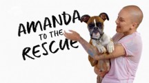 Центр реабилитации Аманды 3 серия. Перегрузка щенками / Amanda to the Rescue (2018)