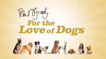 Из любви к собакам 7 сезон 1 серия / Paul O'Grady For the Love of Dogs (2018)