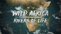 Дикие реки Африки 6 серия / Wild Africa. Rivers of Life (2016)