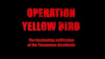 Операция Желтая птица / Operation Yellow Bird (2016)